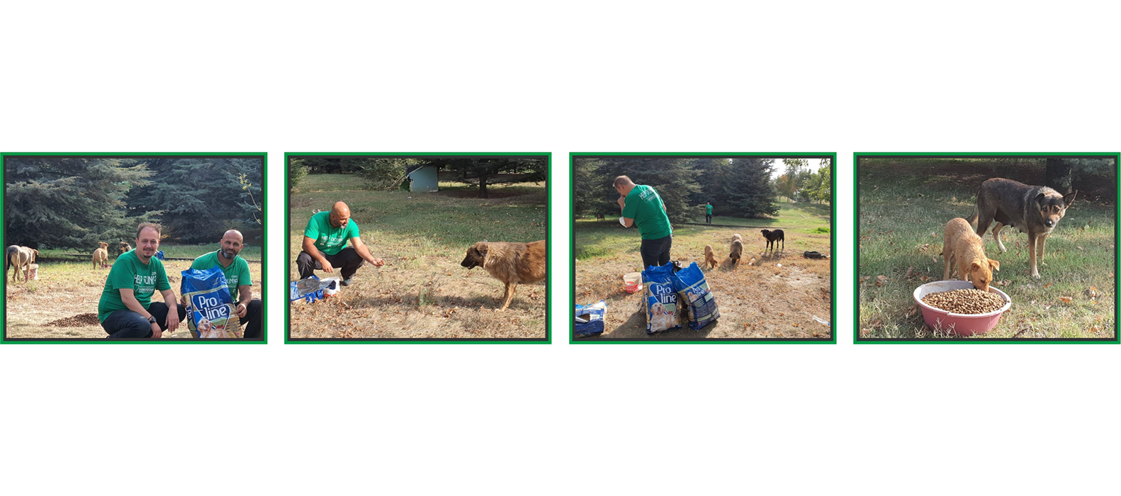 Help-Dunya-e.V. Spenden für Tiere Help-Dunya-e.V. Spenden für Tiere